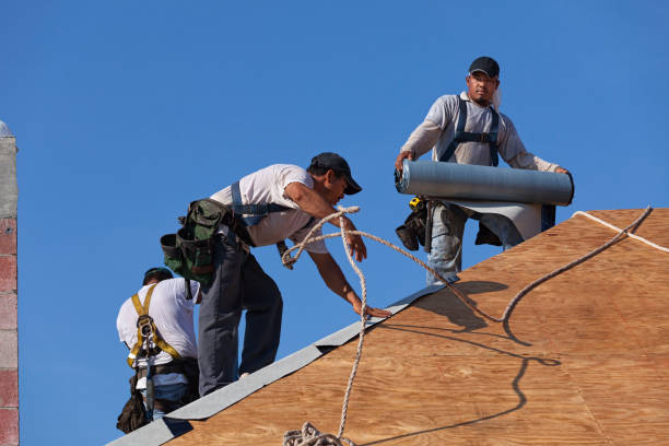 Best Local Roofing Companies  in Belfast, ME
