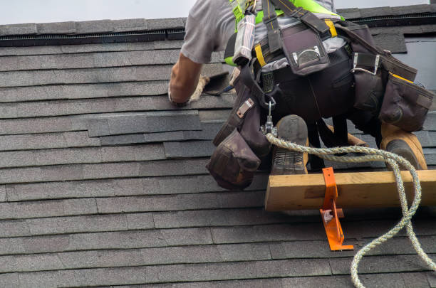 Best Shingle Roofing Installation  in Belfast, ME