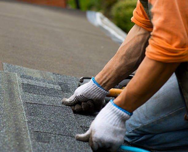 Best Roof Repair Services  in Belfast, ME