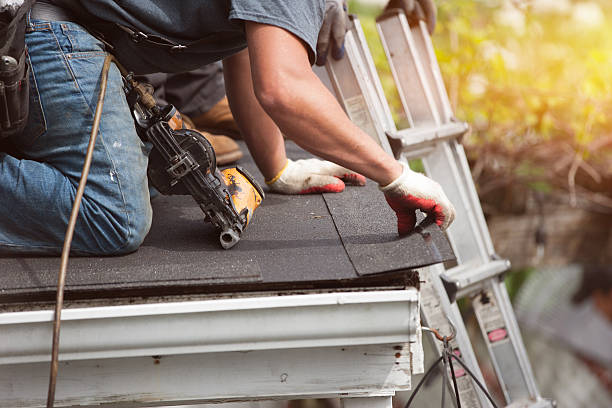 Best Roof Maintenance Services  in Belfast, ME