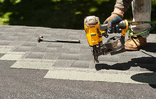 Best Roof Gutter Cleaning  in Belfast, ME